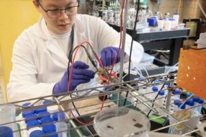 Shijie Liu (MIE PhD candidate) works on an electrochemical device in the lab of Professor David Sinton (MIE). Together with their collaborators, the team has developed a new pathway to regenerate the liquids used for carbon capture, improving the efficiency of this emerging technology. (Photo: Tyler Irving)